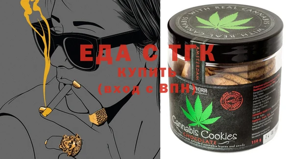 хмурый Алексин