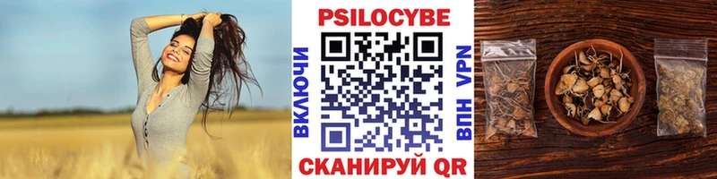 Псилоцибиновые грибы Psilocybine cubensis Ак-Довурак